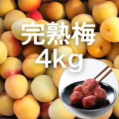 Miyako Ishida様　樹成り中熟~完熟　白加賀梅　20kg Miyako Ishida様 樹成り中熟~完熟 白加賀梅 20kg - メルカリ