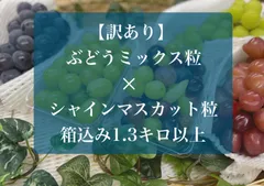 2024年最新】雄宝 ぶどうの人気アイテム - メルカリ