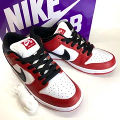 NIKE SB DUNK LOW PRO