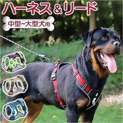☆ Lサイズ ☆ 犬 ハーネス リード セット petfb517 犬ハーネスリードセット ハーネス ドッグハーネス 犬 犬用 胴輪 リード付き メッシュ 丈夫 補助ハンドル ハンドル付き 簡単装着 反射材 通気性 快適 軽量 小型犬 中型犬 大型犬 介護犬
