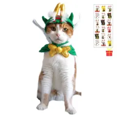 燃えるグリーンドラゴンにゃんセット【金運招き猫シール1枚付】猫の服 猫服 キャットウエア 猫用 付け襟 ネックカラー 帽子 ネコ ねこ かわいい おしゃれ コスプレ 記念写真 キャットプリン ペット名刺 年賀状