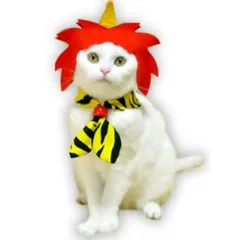 キャットプリン アッというまの赤鬼にゃん 1枚　猫の服 猫服 キャットウエア 猫用 付け襟 ネックカラー 帽子 ネコ ねこ かわいい おしゃれ コスプレ 変装 散歩 ファッション 記念写真 年賀状 ペット名刺 