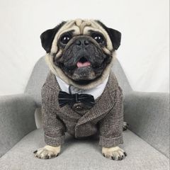 【閉店セール全品半額】グレンチェック柄ジャケット ブラウン  タキシード スーツ 犬服 誕生日