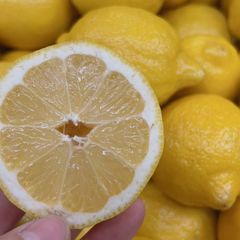 [5月29日木曜日に入荷予定、入荷次第出荷]　生鮮 アメリカンレモン　特選　１箱10kg
