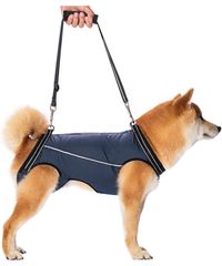 新品 夜も光る 介護用品 リハビリ 犬介護用品 歩行補助ハーネス 老犬 歩行器 歩行補助 介護 犬介護 ハーネス 犬 (L) 介護用ハーネス 【歩行が楽】