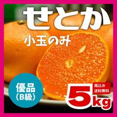 【優品（B級）】【訳あり小玉みかん】長崎県産せとか 産地直送 箱込約5kg 送料無料