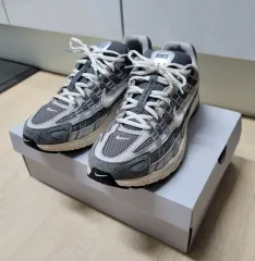 NIKE(ナイキ) P6000 フラットパター ライト アイアン オア 285