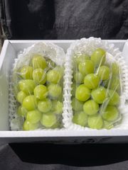 シマ様専用！クール便！感謝祭❗️化粧箱入❗️送料無料❗️家庭用　岡山県産　シャインマスカット　2〜3房
