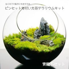 【スターターキット】16cm 青龍石 苔テラリウム テラリウム 新生活 入学祝い 歓迎会 送別会 プレゼント 自作  作成キット ハンドメイド 手作り ギフト インテリア 観葉植物 おしゃれ 贈り物　苔の風景