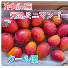 沖縄県産 完熟アップルミニマンゴー 1kg クール便