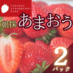 福岡県産あまおういちご 2パック (570g)
