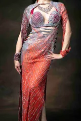 中古)Layalinaラヤリー 豪華バラディドレス　ベリーダンス 中古)Layalinaラヤリー 豪華バラディドレス ベリーダンス 2025年