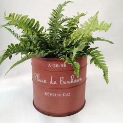 ガーデニング雑貨 植木鉢 プランター ブリキポット ブリキ バケツ 鉢 鉢カバー ガーデン雑貨 ガーデニング 雑貨 アンティーク ナチュラル おしゃれ かわいい BUCKET ルキャドサークル YZ-UN1428-80