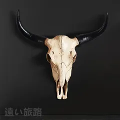 牛の頭蓋骨　壁掛け　置物　本物　ジョージア・オキーフ 牛の頭蓋骨 壁掛け 置物 本物 ジョージア・オキーフ - メルカリ