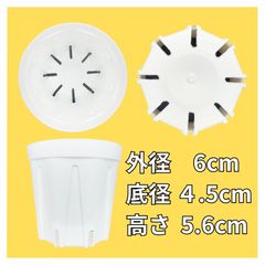 スリット プラ鉢 排水性抜群 20個(定形外郵便発送) 2号鉢 多肉植物用