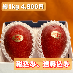 アーウィン秀品 2玉 約1kg