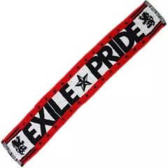 EXILE LIVE TOUR 2013 PRIDE タオル - メルカリ