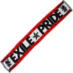 2026年最新】EXILE LIVE TOUR 2013 タオルの人気アイテム - メルカリ