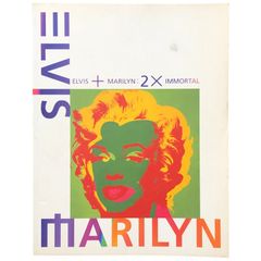 象徴から神話へ アメリカン・ポ Wendy McDaris（キュレーター） 社団法人国際芸術文化振興会 1997年 ☆ポップアート/アメリカ文化/映画スター/音楽史/写真集/現代美術/ポップカルチャー/展覧会図録/アートブック/20世紀美術 aa13いynm1