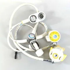 2025年最新】Bismレギュレーターの人気アイテム - メルカリ