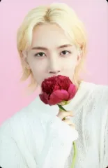 【中古】コレクションカード(男性) 7：SEVENTEEN/JEONGHAN(ジョンハン)/「SEVENTEEN CAFE in SEOUL」トレーディングカード