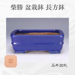 ◇ 宜興窯 古盆器 在銘 楼閣山水図漢詩文 紫砂朱泥 植木鉢 花鳥図 唐物