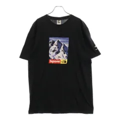 Supreme/The North Face Sketch S/S Top - UG.SHAFT