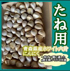 まつまつ様取り置き 工作用 どんぐりの実 サイズミックス 1300個前後