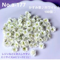No.a-177 かすみ草♪ドライフラワー♪ホワイト♪ミニサイズ100個♡