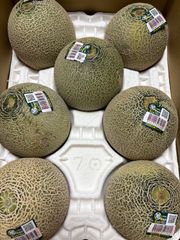アンデスメロン Mサイズ7個 箱込4.5キロ程度 茨城県産