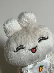 ジョシュア ぬいぐるみ ぬい ／ SEVENTEEN(セブンティーン・セブチ) ジョシュア(JOSHUA) 人形 ぬいぐるみ ぬい