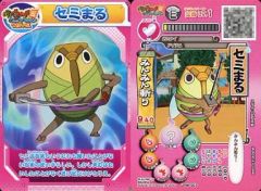 円堂守伝説 妖怪ウォッチ真打 ポケモンXD + (コレクションケース付き