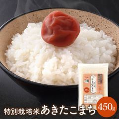 【新米】【ポスト投函】令和5年産 特別栽培米 あきたこまち 450g 白米 無洗米 胚芽米 玄米