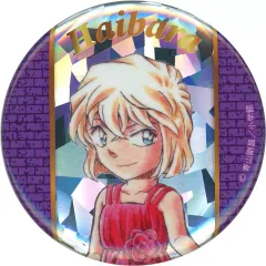 2026年最新】灰原哀 缶バッジ 30周年の人気アイテム - メルカリ