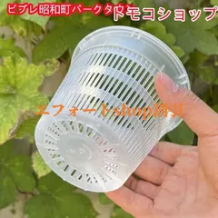 駿河蘭(蘭鉢ごと)NO.2 8/13撮影 メルカリ便発送 駿河蘭(蘭鉢ごと)NO.2 8/13撮影 メルカリ便発送 - メルカリ