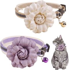 Item thumbnail for item ecf167d7-96ca-4fff-8b75-6ee3acf928fd