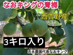 青梅 3キロ 西吉野産 6月上旬発送 梅