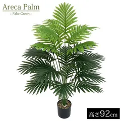 ① アレカヤシ (スーパーアレカヤシ) 9号 特大苗木最高等級極上品