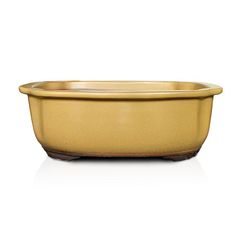 【未使用】盆栽鉢 8号 木瓜鉢 モッコ鉢 黄土色 黄釉 瀬戸焼 陶器 深め 大型 中型 雑木 松柏 約25センチ 植木鉢 苔 うめきち盆栽用品店