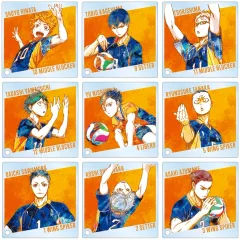 【中古】アクリルスタンド・アクリルパネル 全9種セット 「ハイキュー!! トレーディング Ani-Art 第2弾 アクリルスタンドパネル」