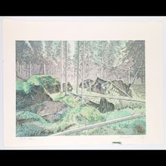 【新品】木版画　壬生川純一「倒木の森」限定ナンバー付き！　☆送料無料☆