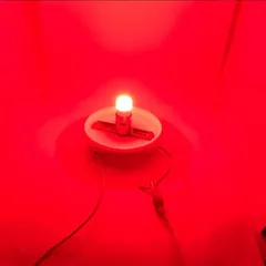 セール BA15S S25 LEDバルブ 特殊レンズ搭載 シングル 平行ピン サイドマーカー バスマーカー ナマズ デコトラ レトロ 大型車 トラック 爆光 デコトラ屋 正規品 高輝度 24V専用 4個SET Bタイプ