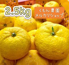【農家直送】本柚子 2.5kg