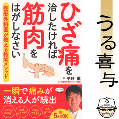 【帯付き・美品】ひざ痛を治したければ筋肉をはがしなさい