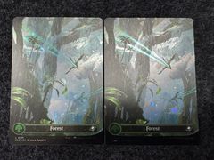 MTG フェイタリズム 秘儀の否定 日本語 ボーダーレス プロモ BOX