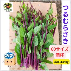 つるむらさき60サイズ箱に満杯詰めます (*^^*)収穫してすぐ発送します‼︎クール便❄️60サイズ🎵