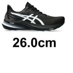 asics アシックス ランニングシューズ GT-2000 12 メンズ 1011B691-006 26.0cm
