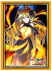2025年最新】ロクでなし魔術講師と禁忌教典 スリーブの人気