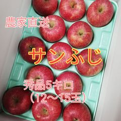 りんご『サンふじ』贈答用3キロ箱 大玉 - メルカリ