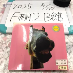 【新品】ザ・ハイロウズ／ドゥ!! ザ★マスタング【完全生産限定アナログ盤】 新品】ザ・ハイロウズ／ドゥ!! ザ☆マスタング【完全生産限定
